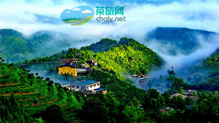 茶香漫山巒，文旅譜新篇——宜賓市敘州區天宮山茶旅融合開發項目有序推進